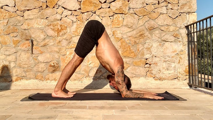 dolphin pose ben sears dolphin pose ben sears