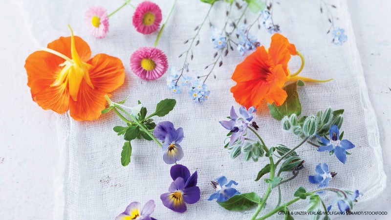 201504-yjmag-flowers
