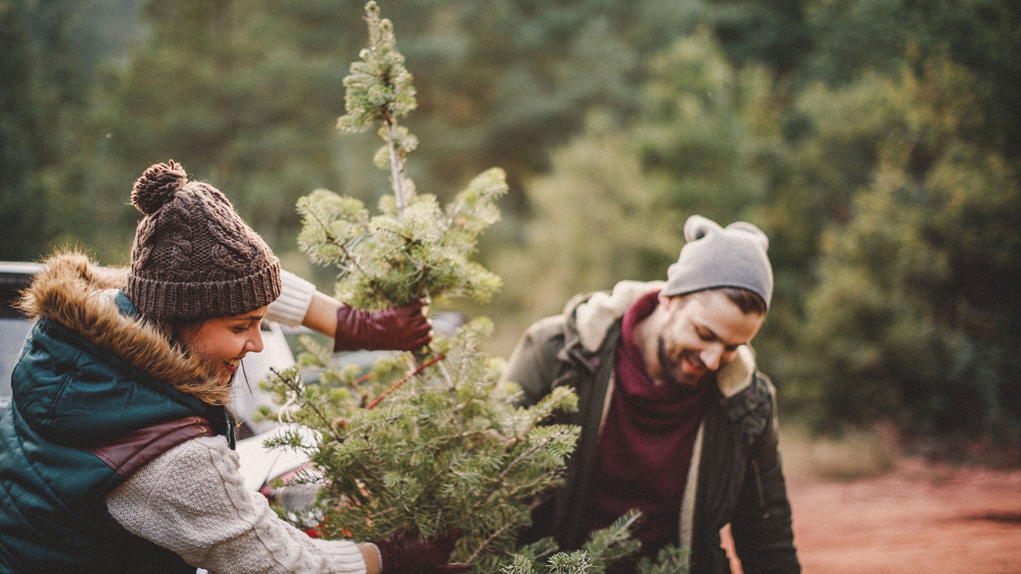 iStock-1045511392 How to Survive the Holidays with Healthy Boundaries