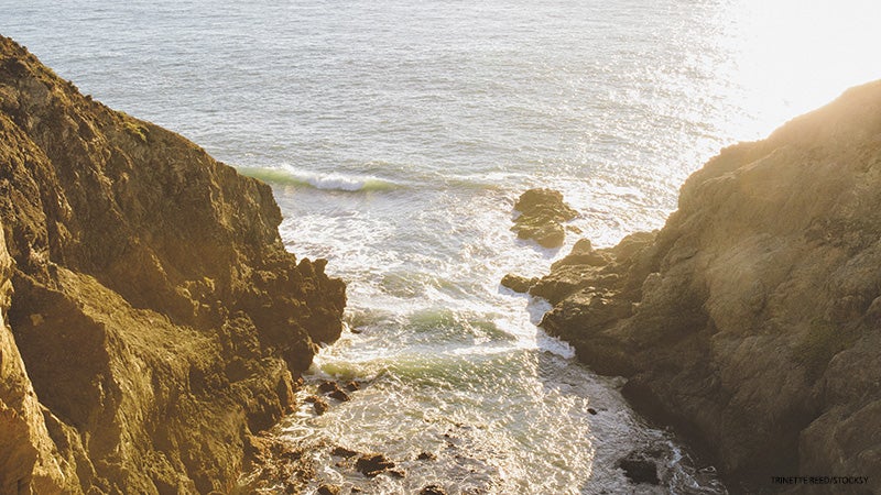 Ocean Ocean