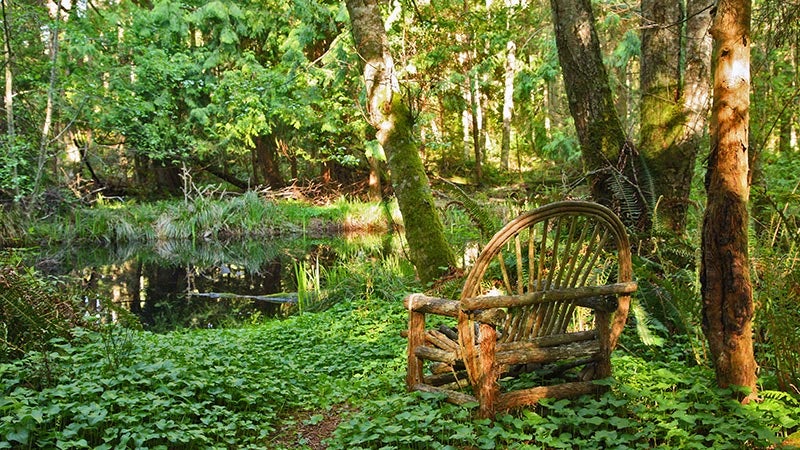 Yin & Yang Spring Balancing Retreat on Whidbey Island, Washington Yin & Yang Spring Balancing Retreat on Whidbey Island, Washington