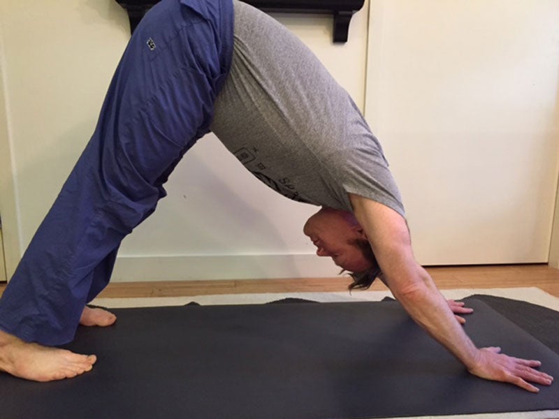 dave-downward-dog dave-downward-dog