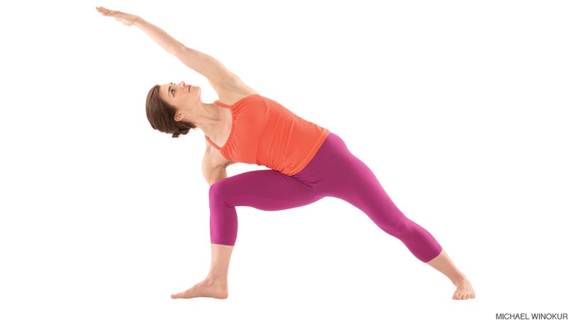 extended side angle pose extended side angle pose/utthita parsvakonasana