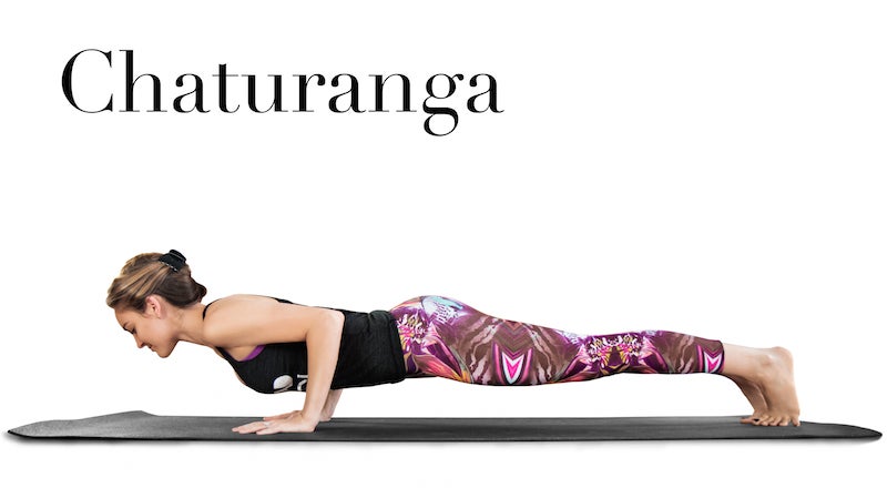 ErinMotzChaturanga Erin Motz Chaturanga