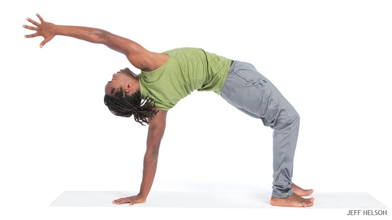 Jan 2015 Home Practice Flip Dog Jan 2015 Home Practice Flip Dog