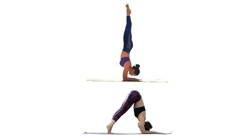 Two Fit Moms in Dolphin/Forearmstand Two Fit Moms in Dolphin/Forearmstand