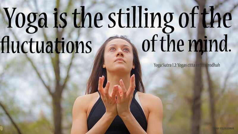 stilling-quote