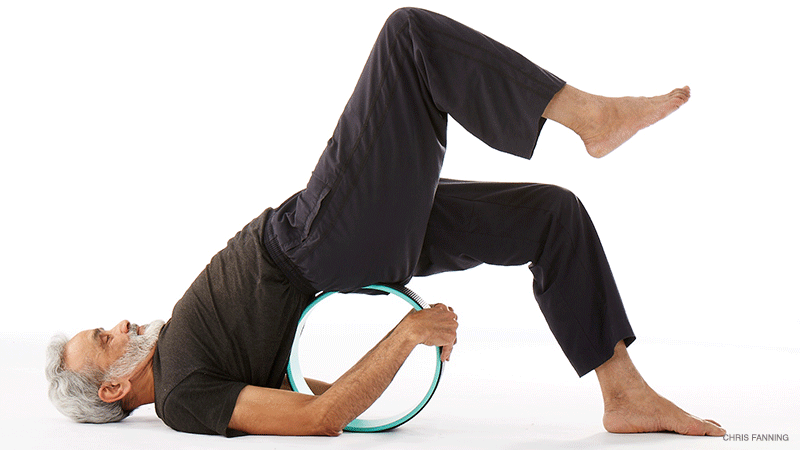 dharma-3 dharma wheel
