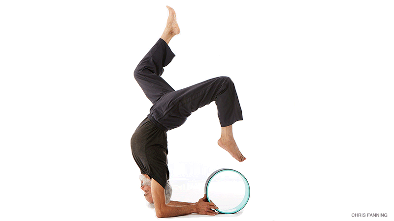 dharma-4 dharma wheel, forearm stand with hollowback and dharma wheel assist, pincha maryurasana
