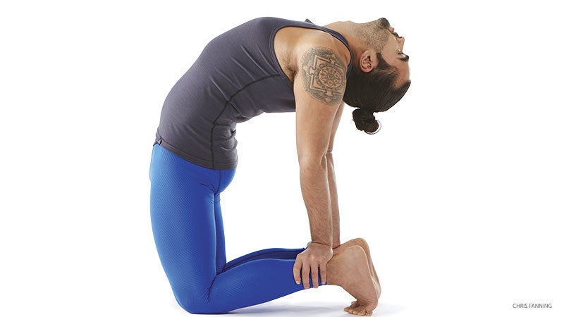 hp_276_11_FNL camel pose, ustrasana