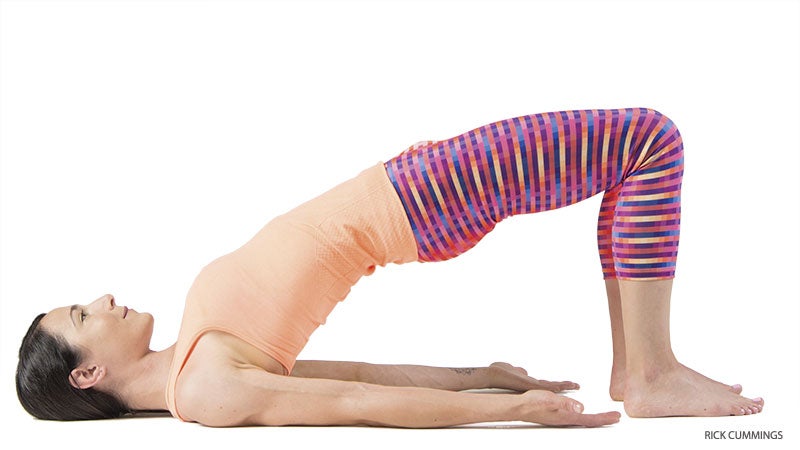 pw-anatomy_277_01_FNL-BRIDGE=POSE bridge pose, setu bandha sarvangasana