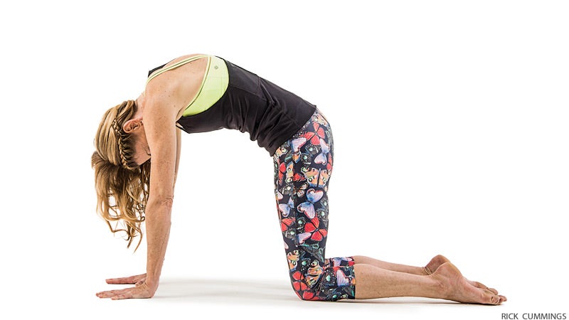 hp_278_05a_FNL Janet Stone Cat Pose janet stone, cat pose, marjaryasana