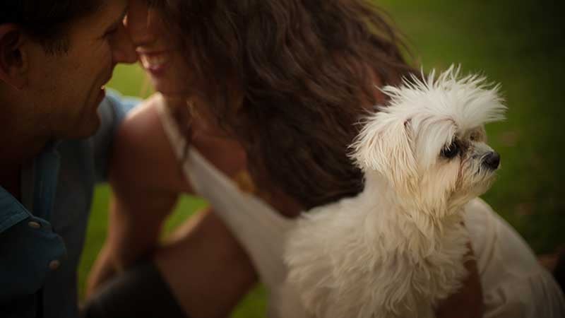 TCinLA_123 tiffany cruikshank, dog