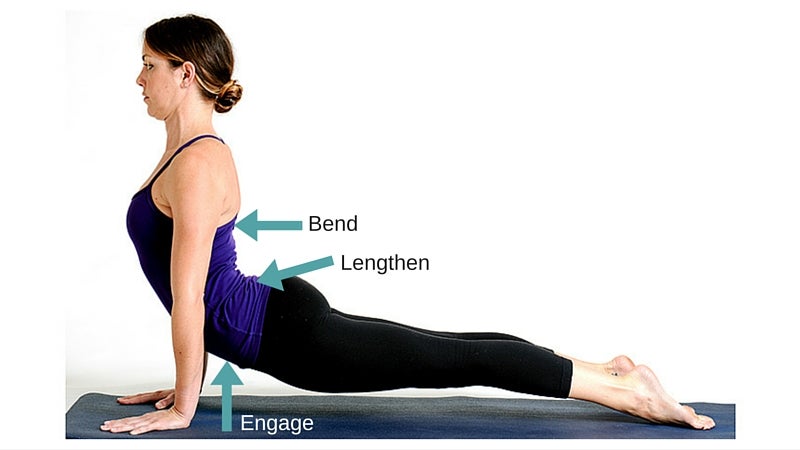 basic-yoga-pose-breakdown-upward-facing-dog-urdhva-mukha-svanasana