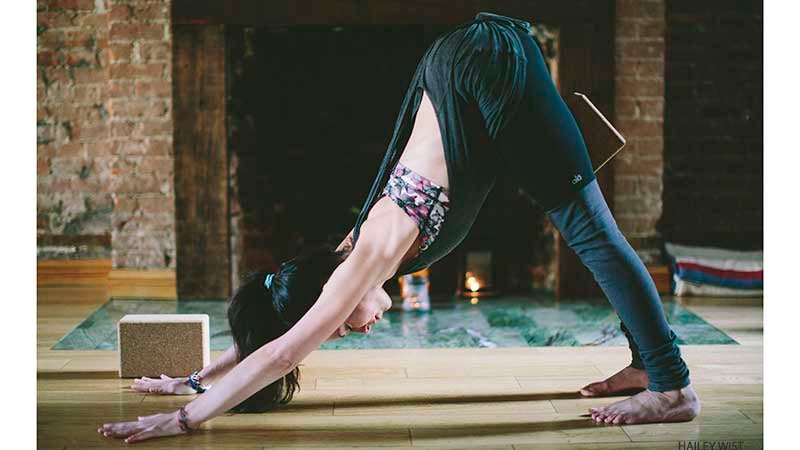 downward facing dog downward facing dog