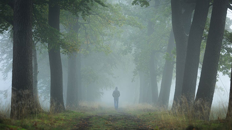 lasting peace, meditation, walking through woods lasting peace, meditation, walking through woods