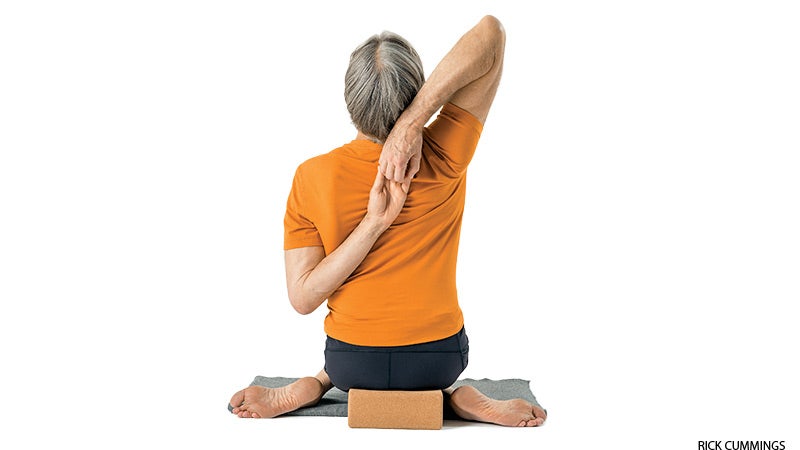 cow face pose, gomukhasana, modification cow face pose, gomukhasana, modification