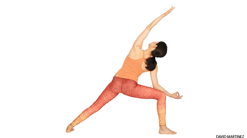 Extended Side Angle Pose + variation Extended Side Angle Pose + variation