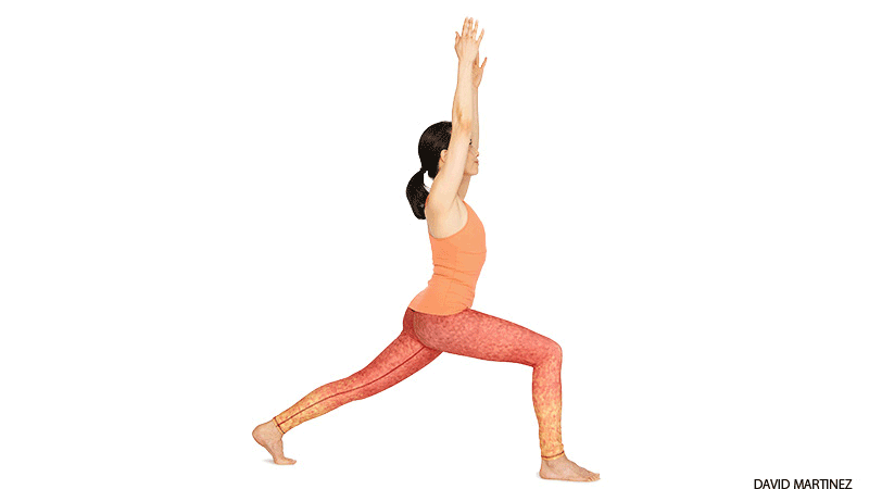 highlungevariation