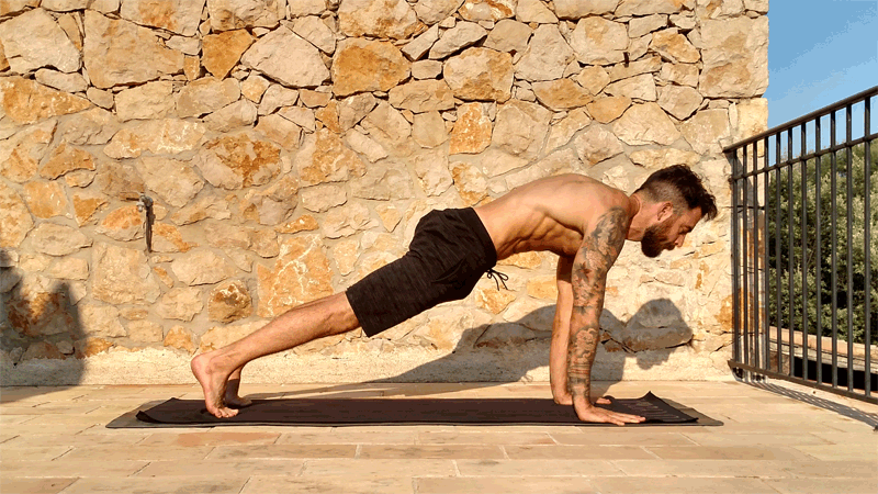 plank to downward facing dog plank to downward facing dog
