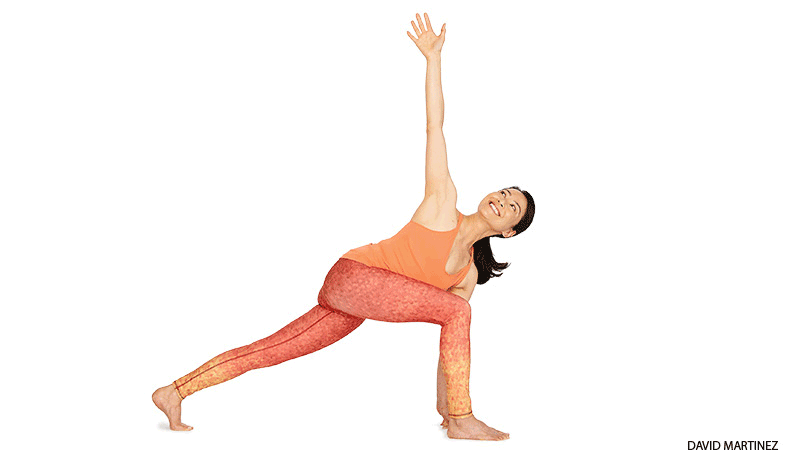 Revolved Lunge Pose, a.k.a. Easy Twist + variation Revolved Lunge Pose, a.k.a. Easy Twist + variation