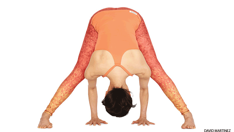 Wide-Legged Standing Forward Bend + variation Wide-Legged Standing Forward Bend + variation