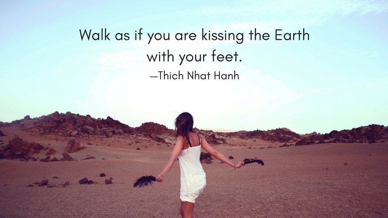 gratitude quote 4, Thich Nhat Hanh gratitude quote, Thich Nhat Hanh
