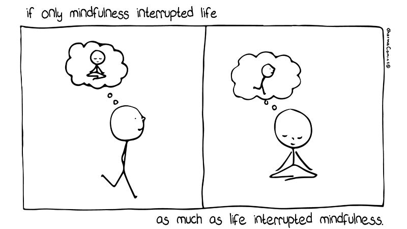 if-only-mindfulness-interrupted-life