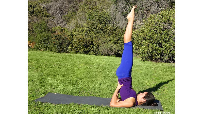 Shoulderstand Shoulderstand