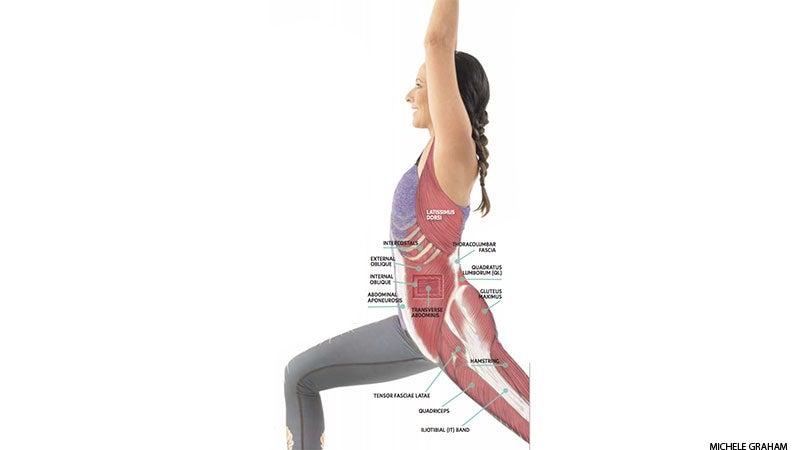 Anatomy of a twist LOW BACK, HIP FLEXOR Anatomy of a twist