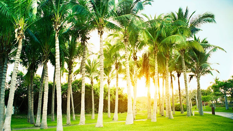 Punta Mita, Mexico
