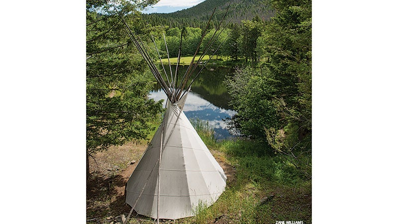 Retreat_feather_290_gn