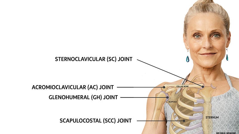 May-Anatomy_2