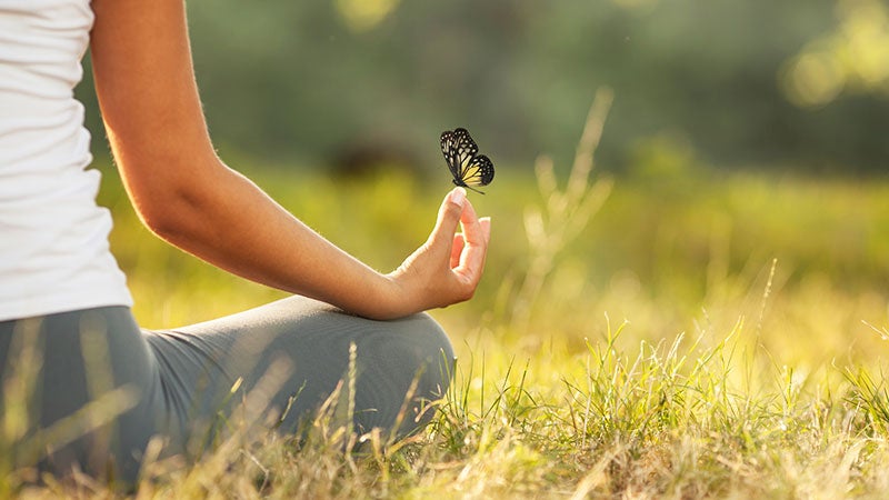 meditation, mindfullness, butterfly meditation, mindfullness, butterfly