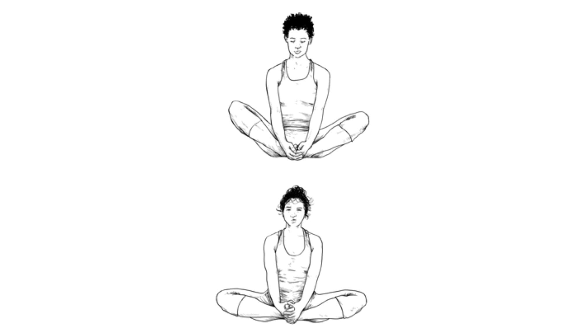 illustrationanatomy None