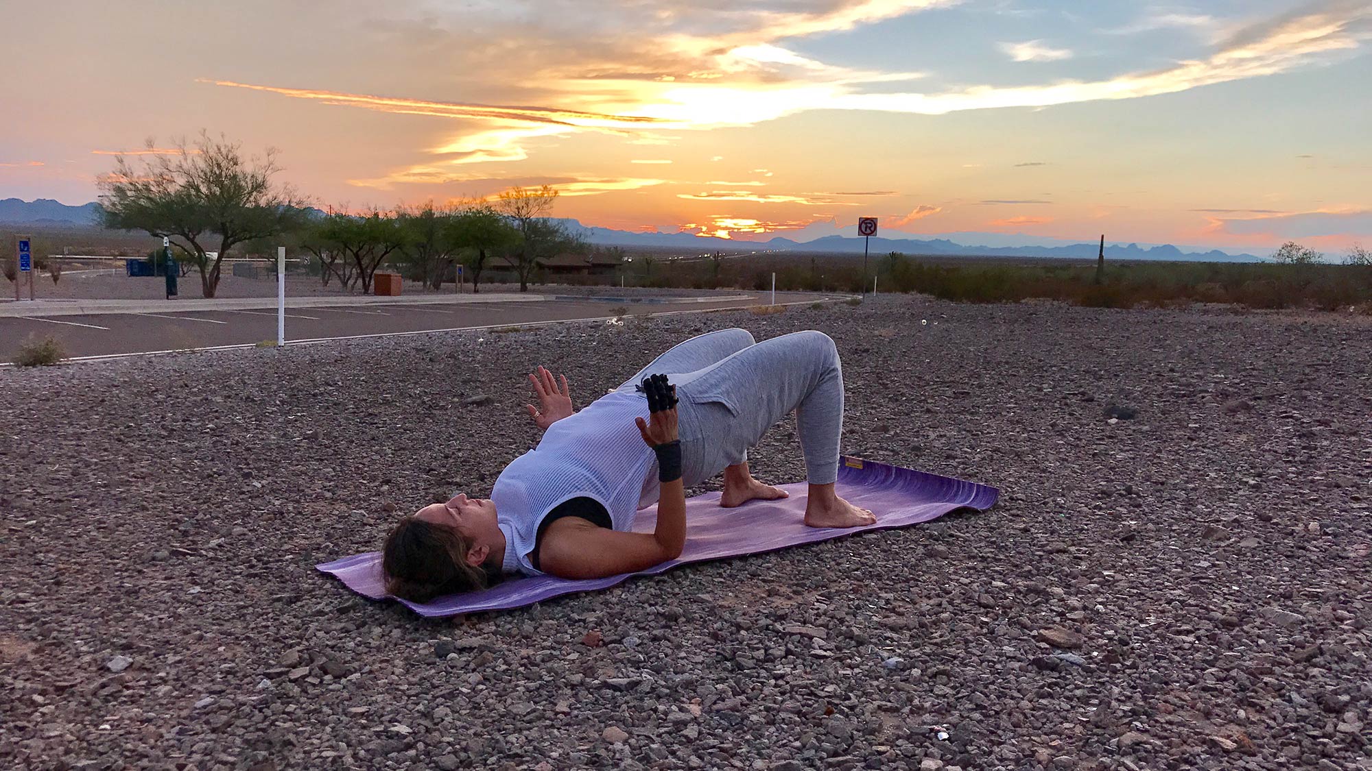 BridgePose-Robot-Arms-livebeyoga None