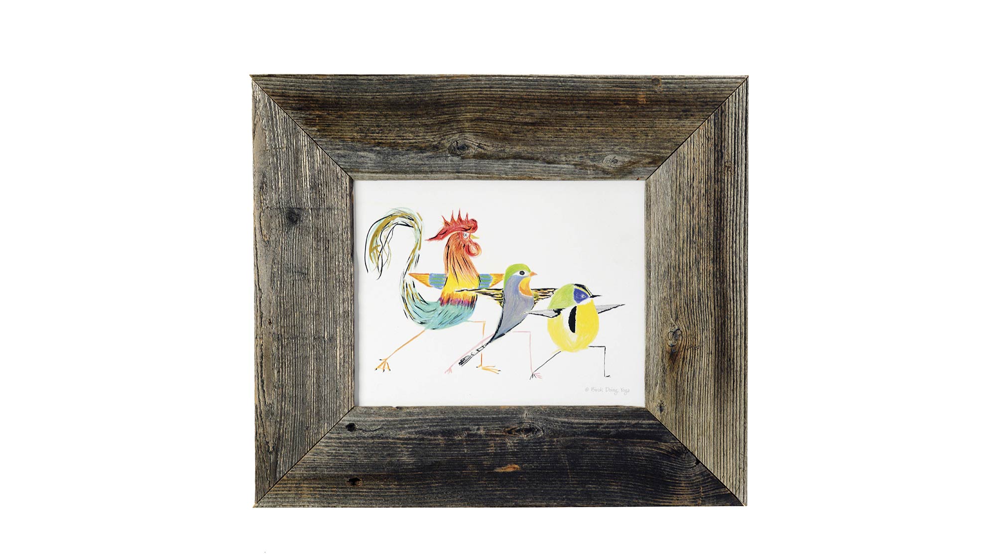 musts_print_decor-birdsyoga None