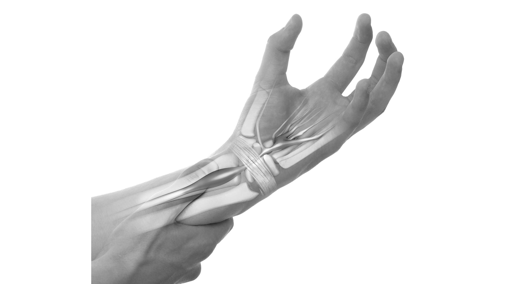 wrist None