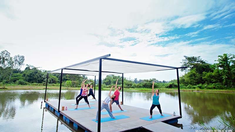 1Museflower-Retreat-Spa