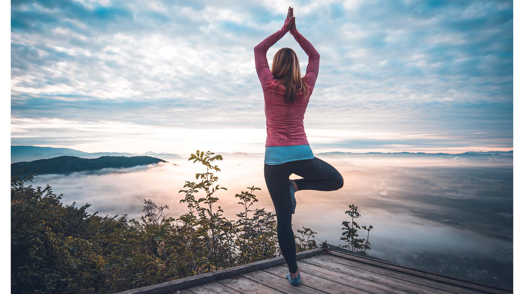 10-treepose None