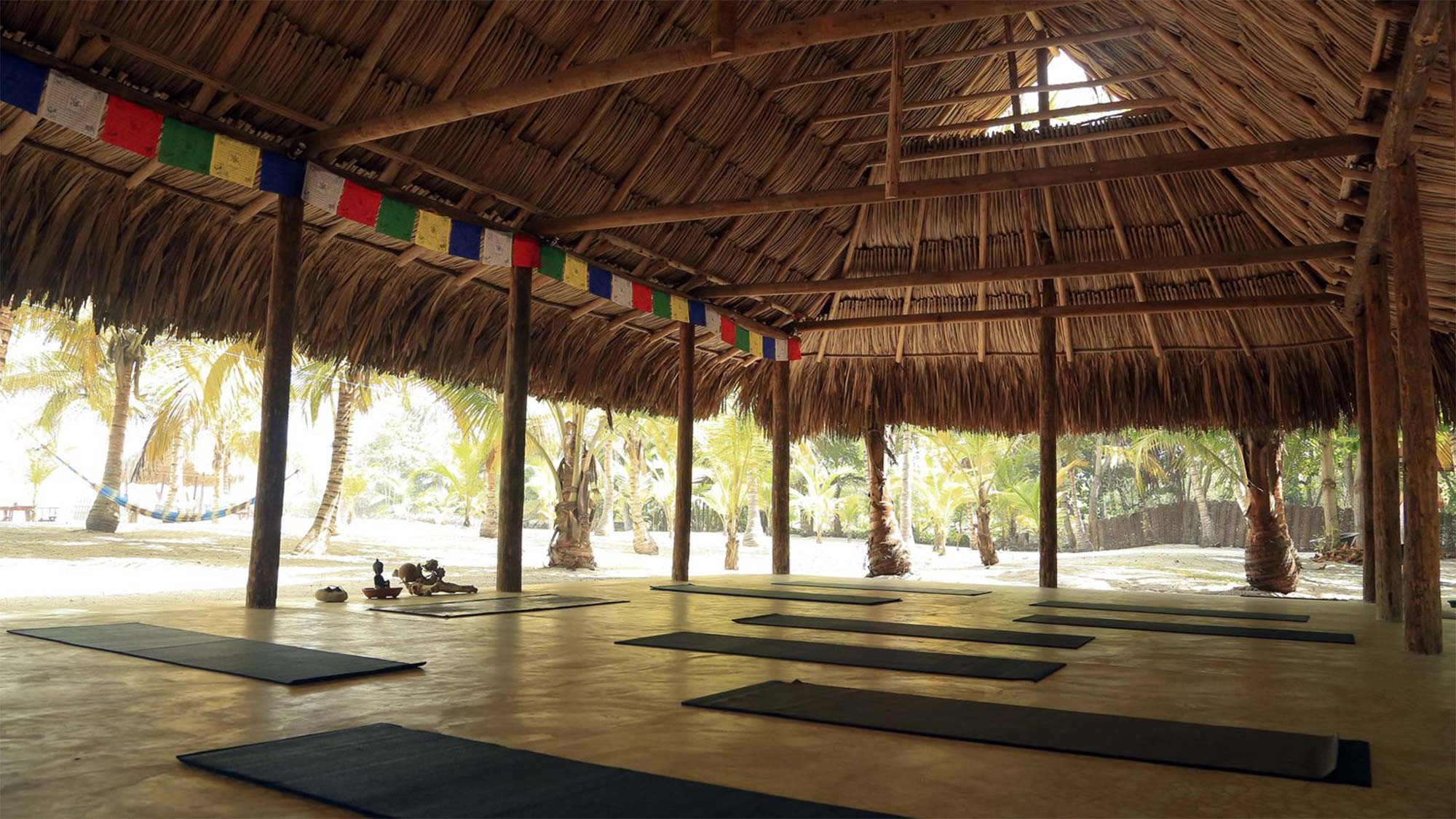 6.-Self-Realization-Lotus-Retreat-Colombia None