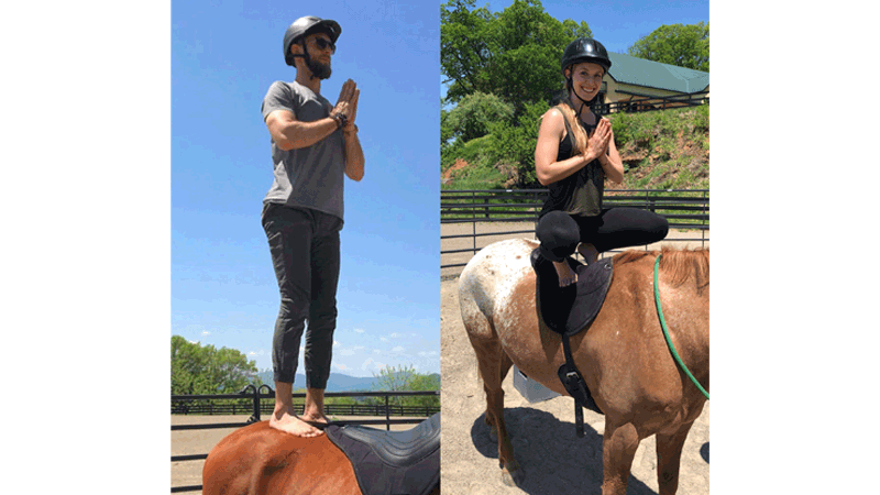 solaris-stables Jeremy and Aris taking a yoga class with horses.