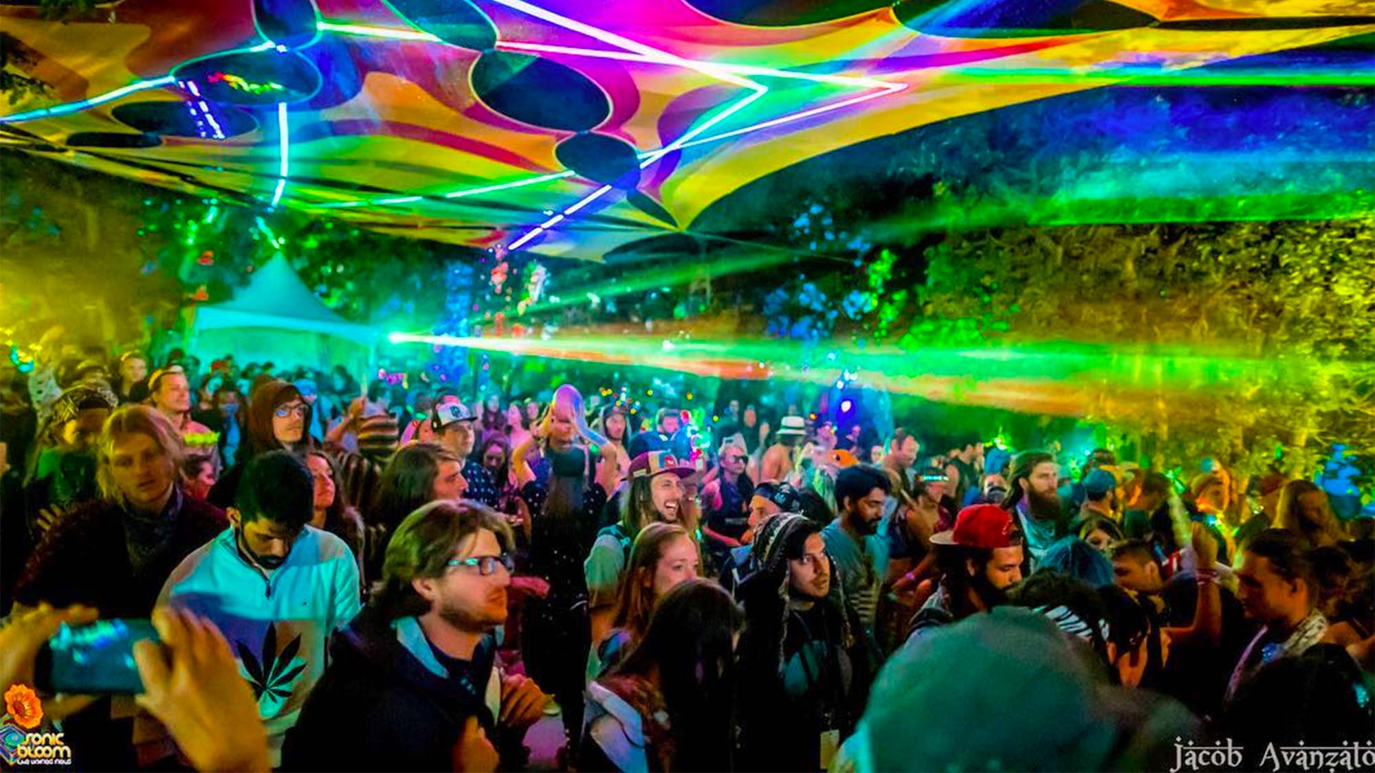 sonicbloom None