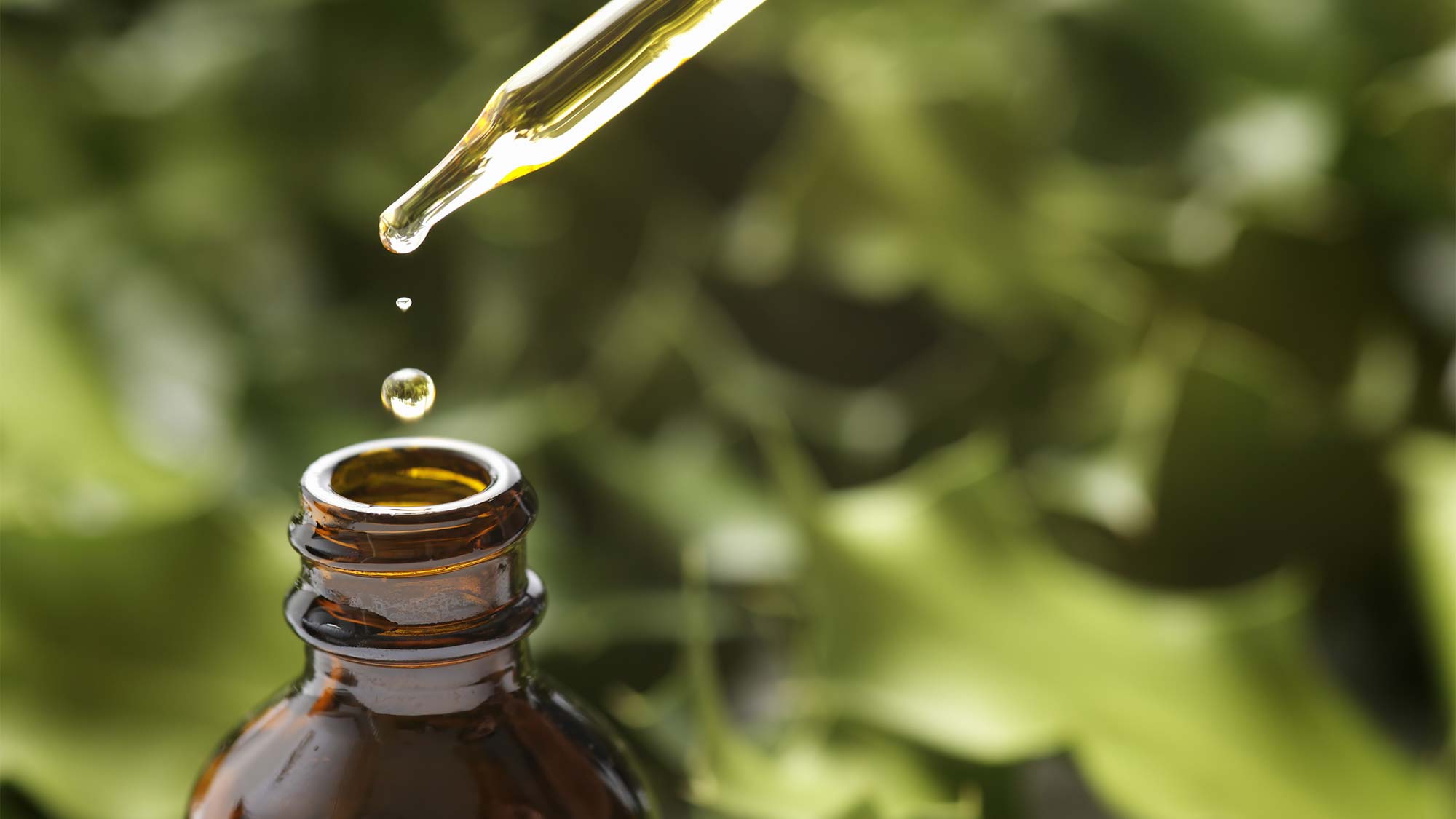 CBD None