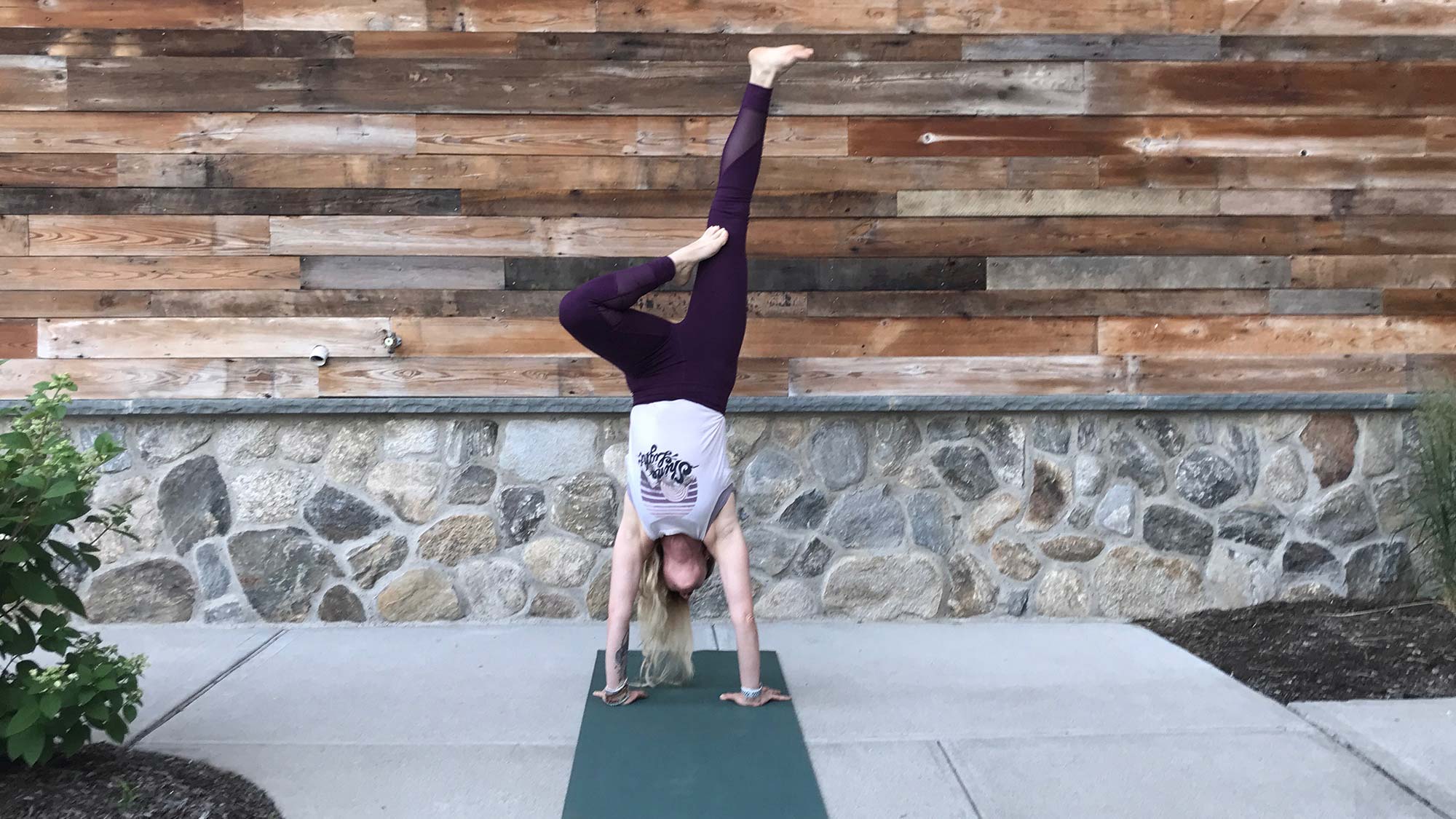 kemp-treehandstand None