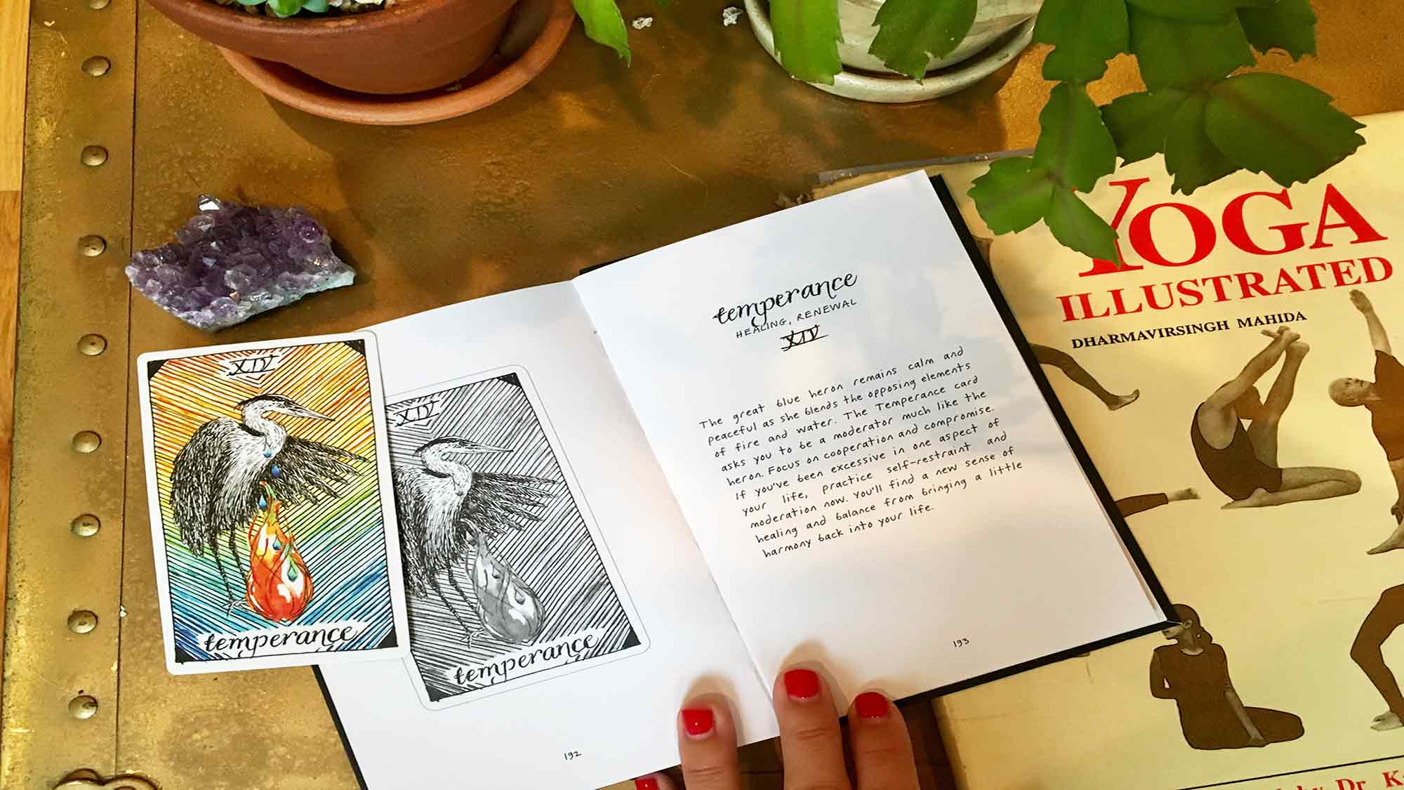 tarot4 None