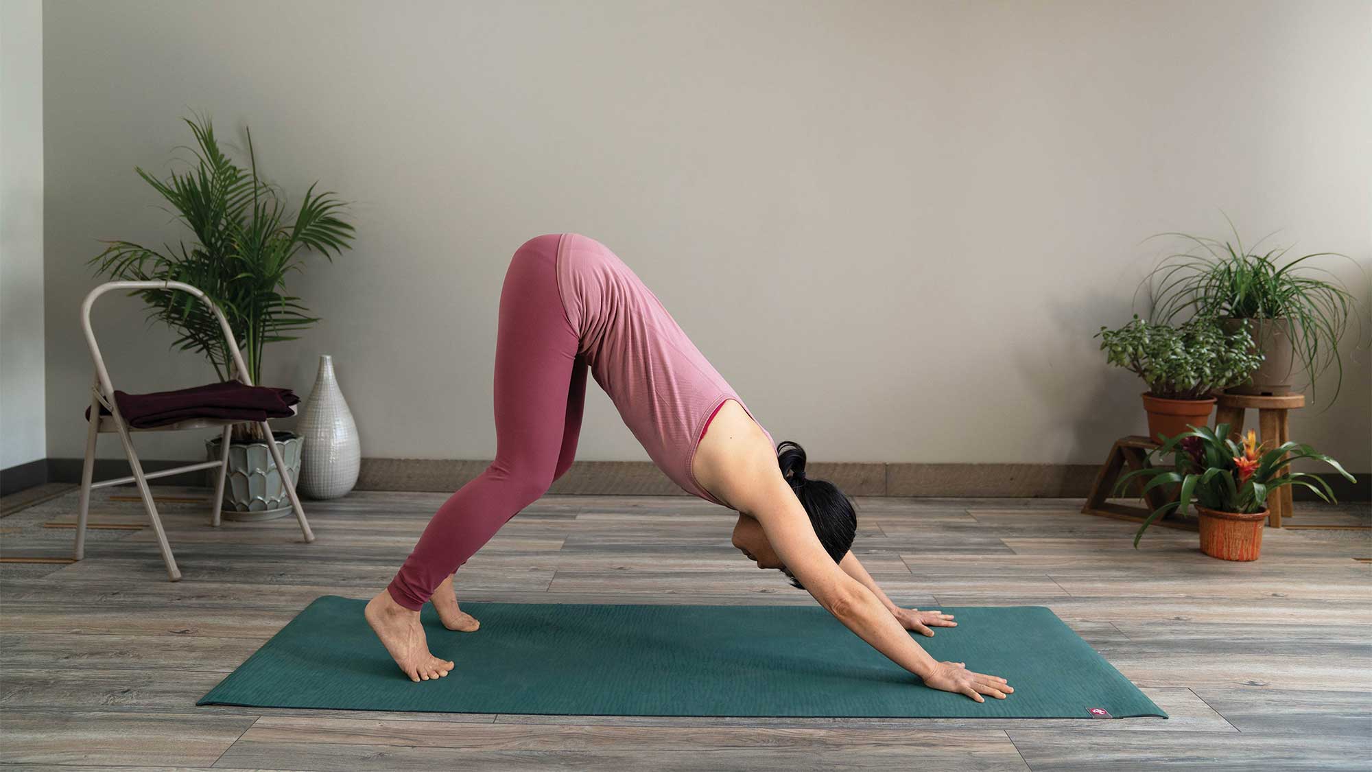 modifieddownwarddog Downward Facing Dog