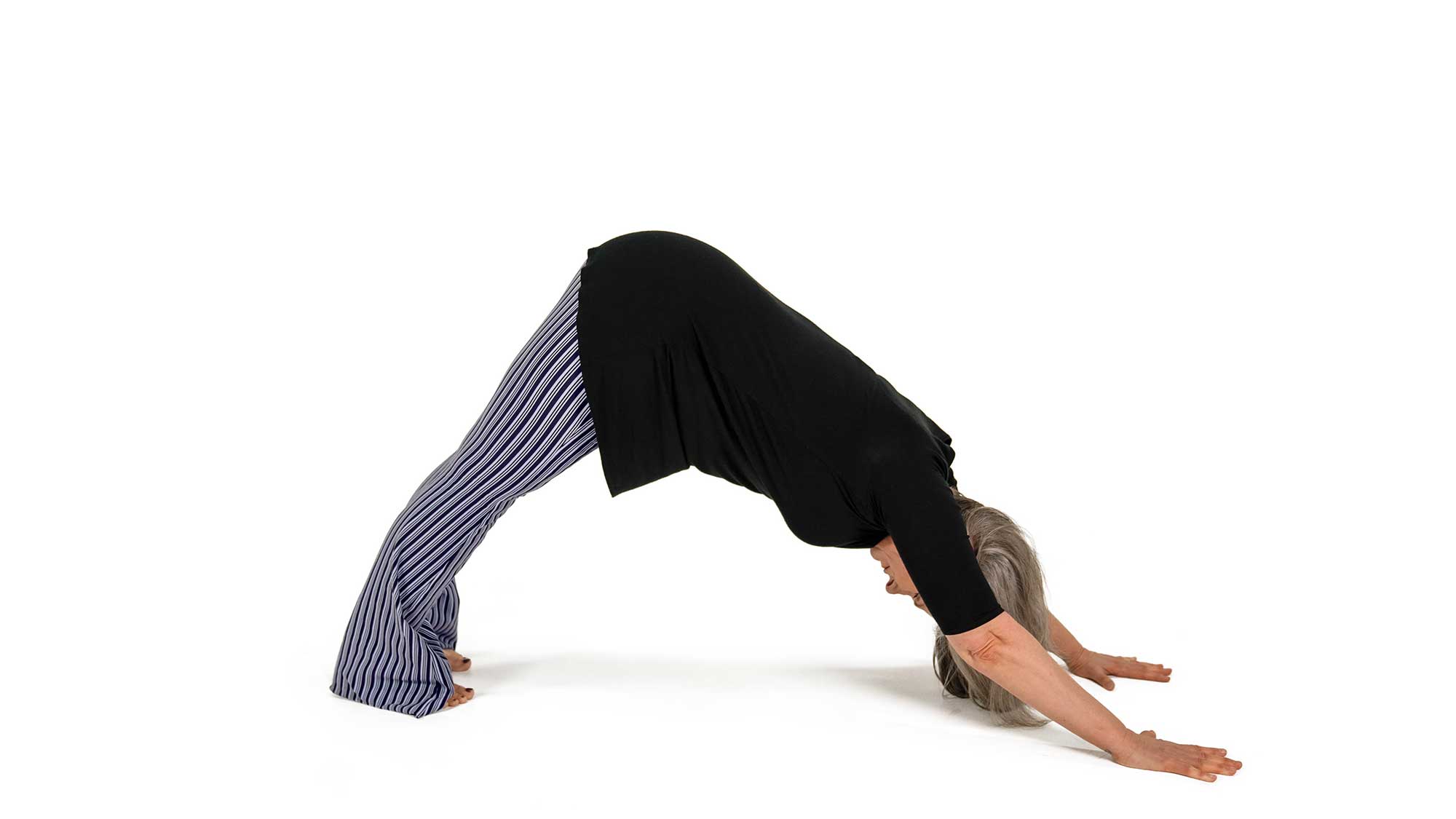 downdog2 downward facing dog