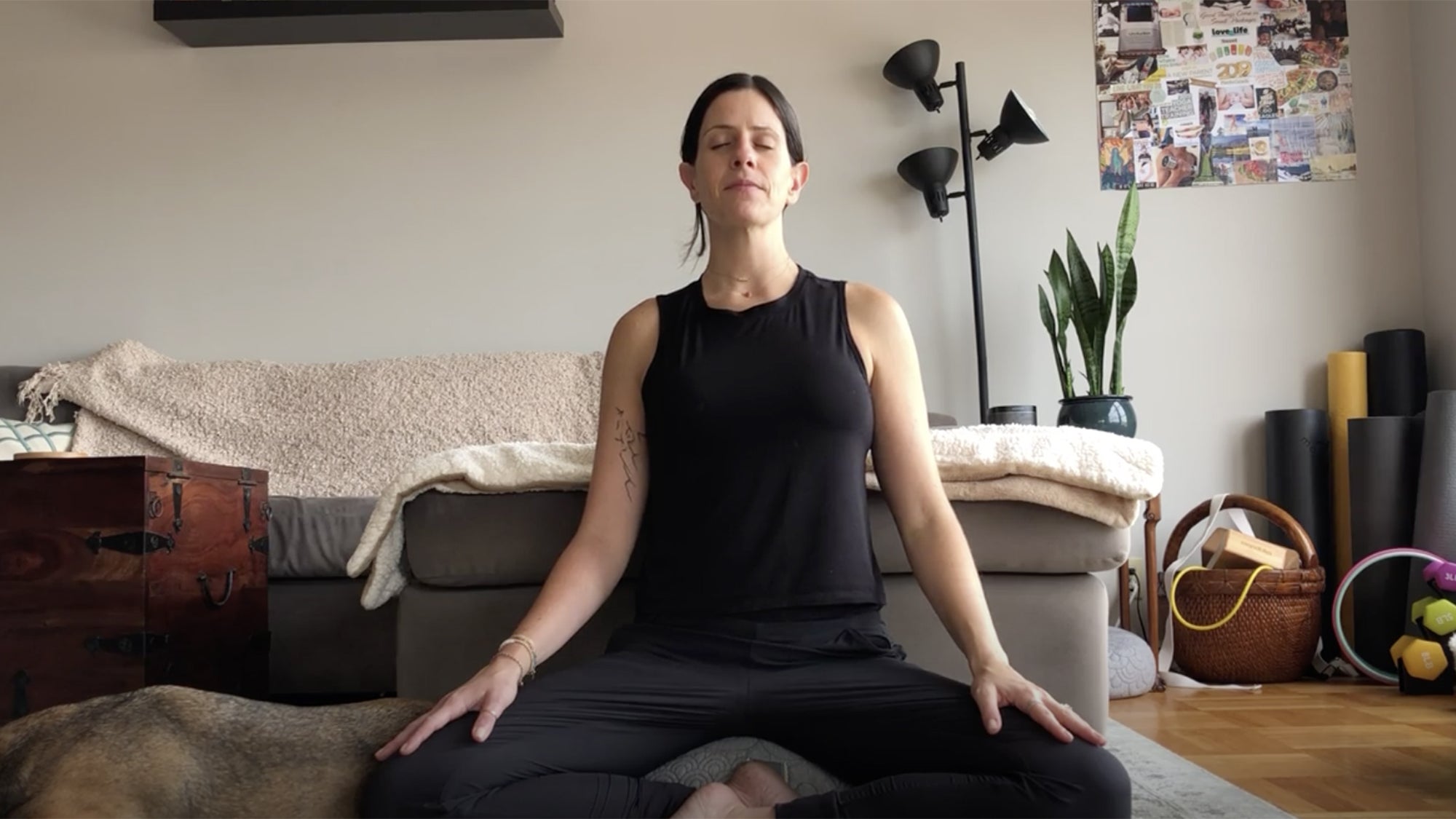 sarahezrin-stepintopower-meditation None