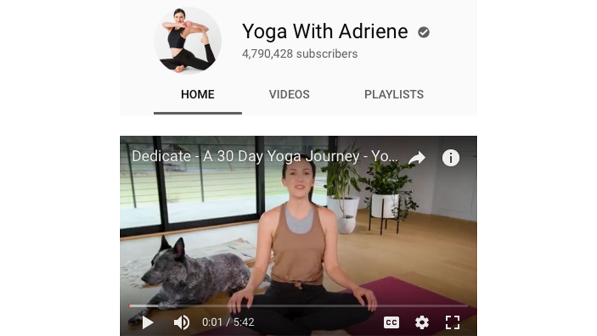yoga-adriene None